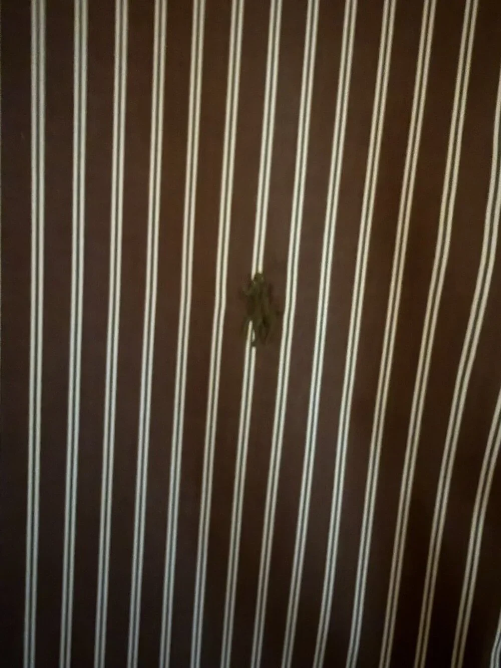 Brown Stripe Polo Dress Shirt - XXL